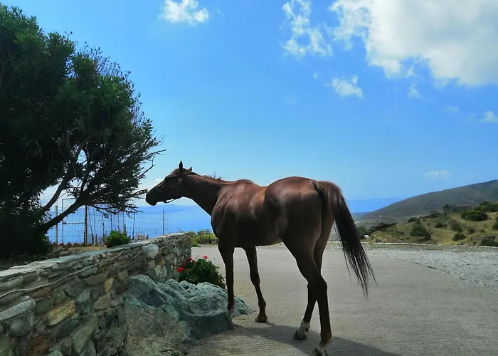 Balcony To The Aegean