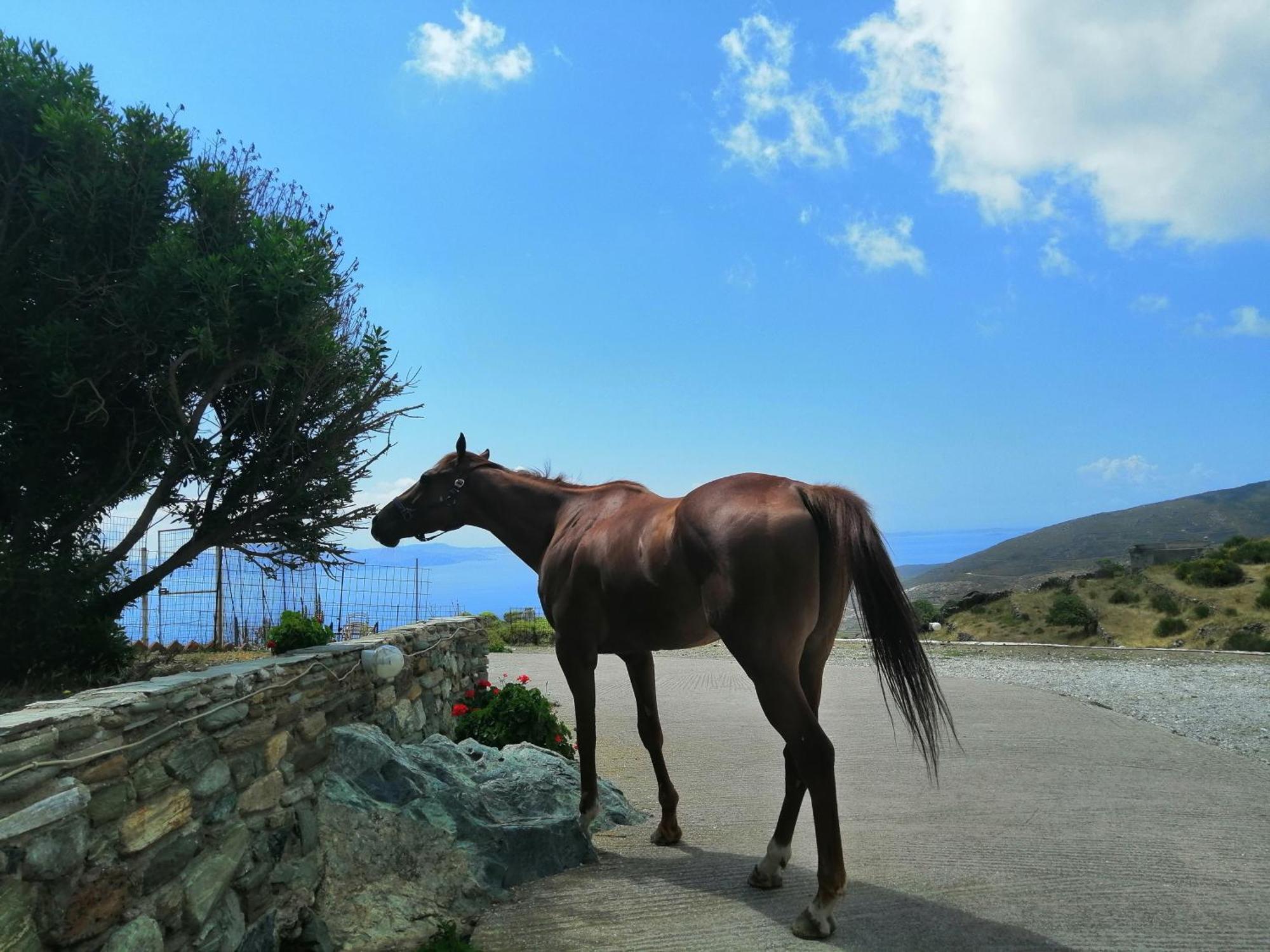 Holiday home Balcony To The Aegean Steni